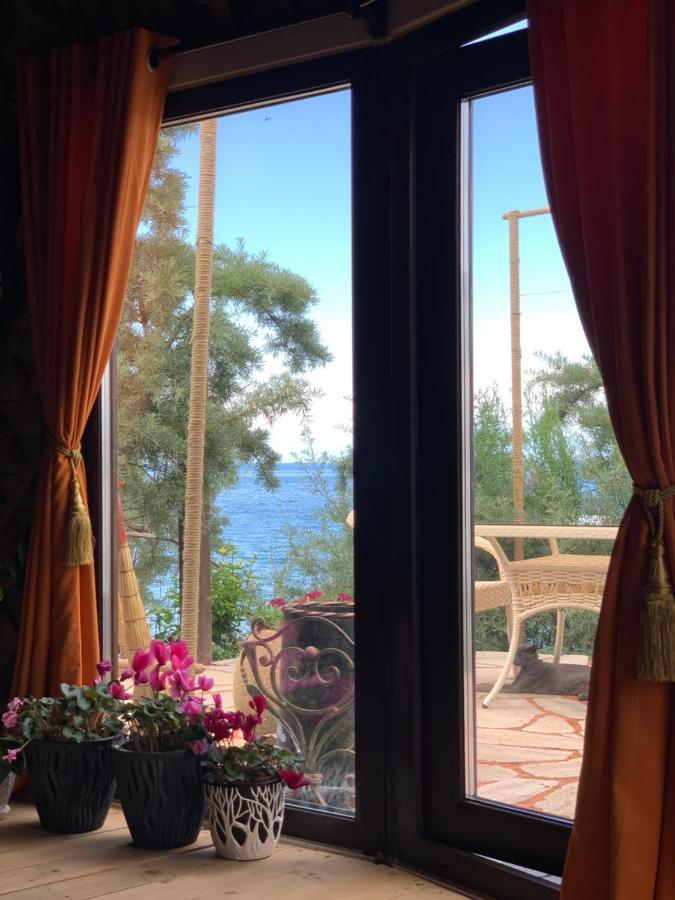Ak-Tengir Yurt Resort Tossor المظهر الخارجي الصورة
