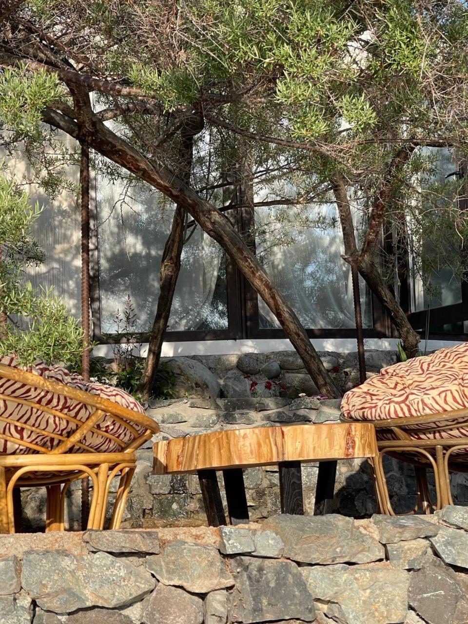 Ak-Tengir Yurt Resort Tossor المظهر الخارجي الصورة