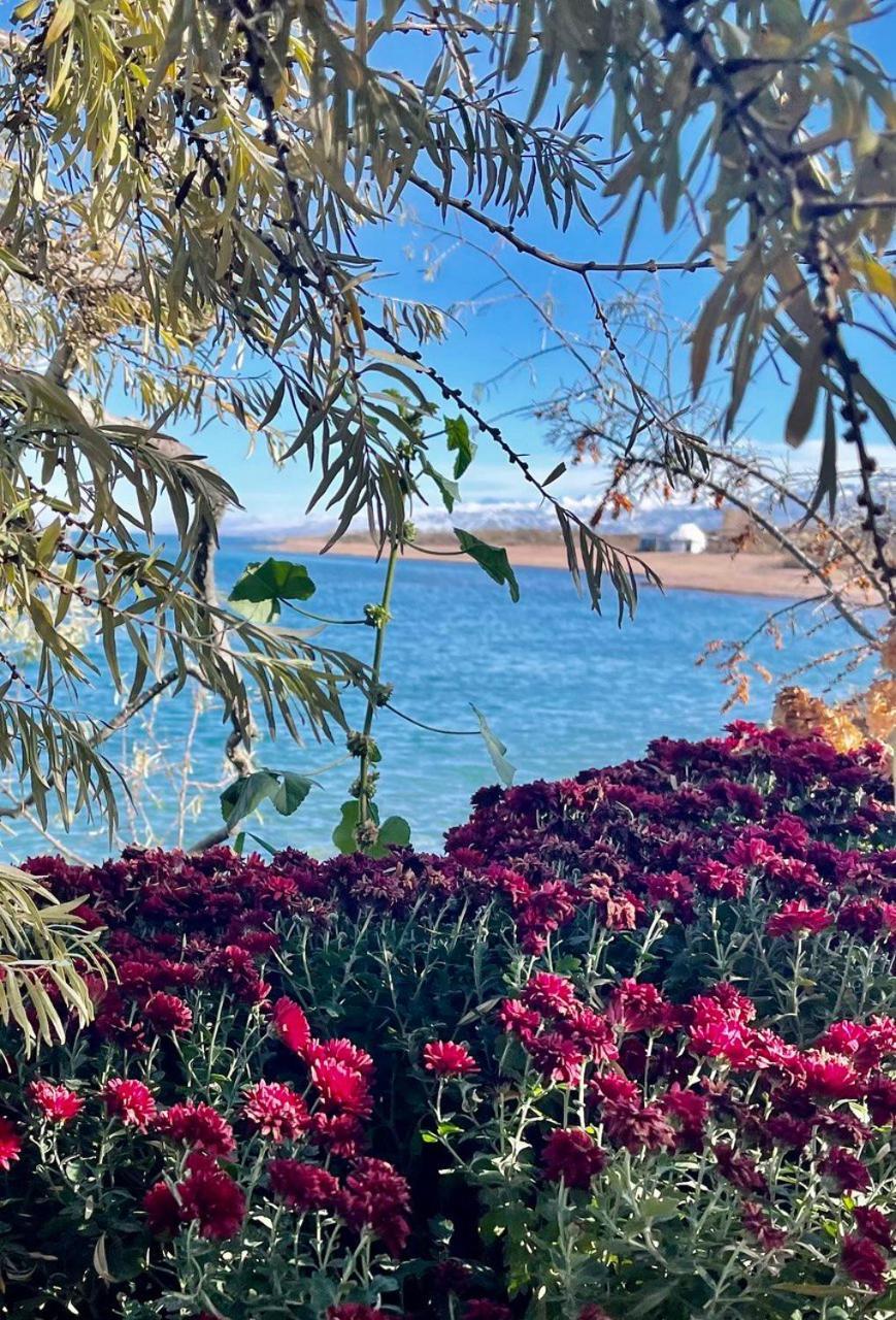 Ak-Tengir Yurt Resort Tossor المظهر الخارجي الصورة